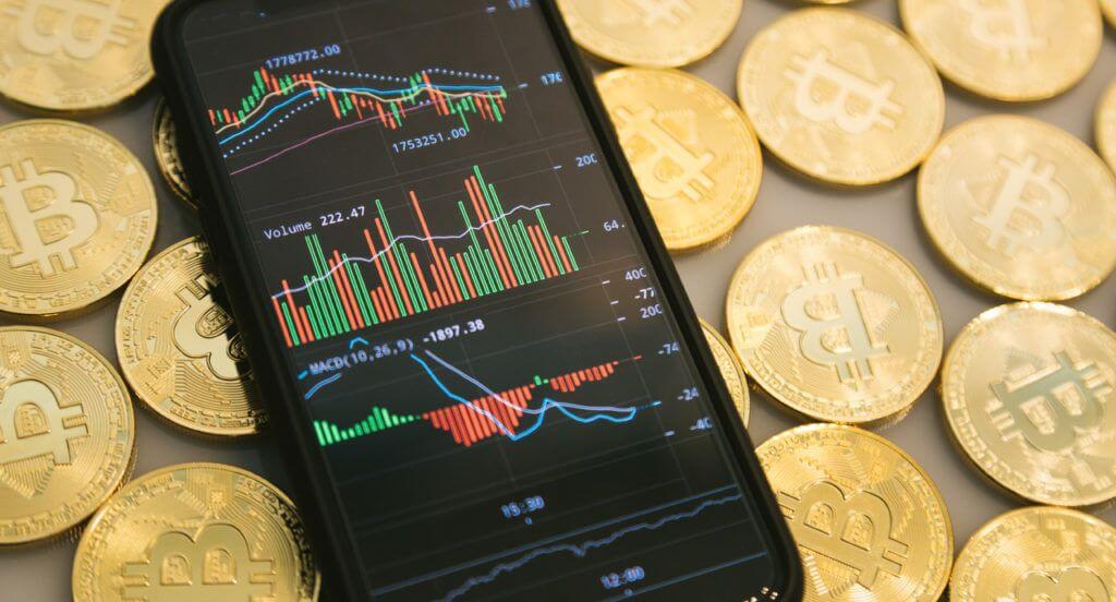 BTC tipped to be the big cryptocurrency survivor
