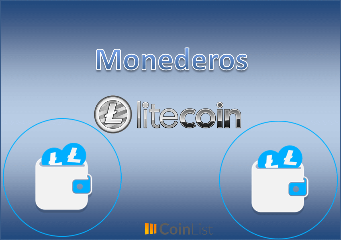 43 mejor Monederos Para Mujer en 2021: después Investigando 57 Opciones.